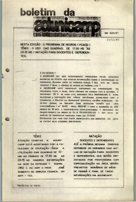 Boletim 29 de 13-11-1987